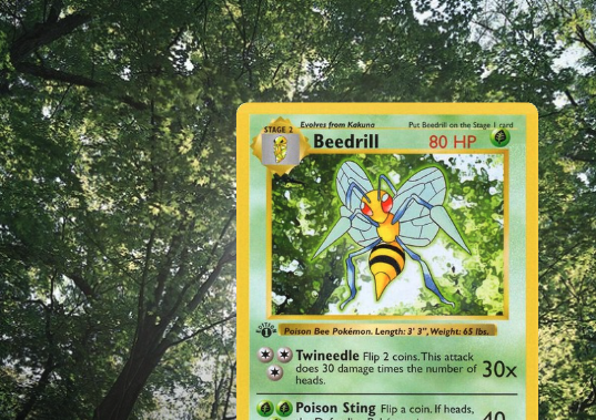 dachshundwizard's tweet photo. 99% of Pokémon collectors have never heard of Sozaijiten.

Long before Shutterstock or Adobe Stock, Pokémon illustrators used professionally licensed stock photo CD-ROMs as reference for many card backgrounds.

The Pokémon were still hand-drawn, but forests, beaches, flowers, mountains, and other scenery were often inspired by these real photos.

Once you see the side-by-side comparisons, you can't unsee them.

And it wasn't just Base Set. Fans have found examples in Jungle, Fossil, Team Rocket, Gym, and Neo-era cards too.