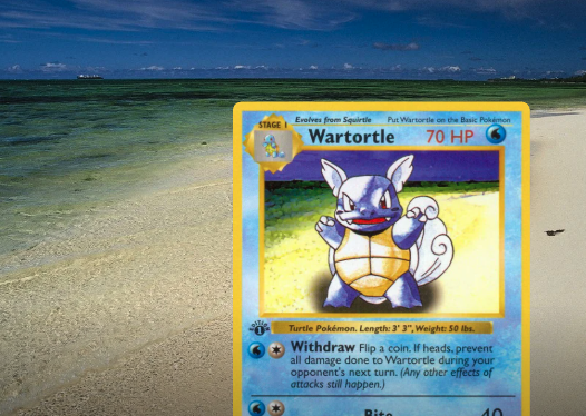 dachshundwizard's tweet photo. 99% of Pokémon collectors have never heard of Sozaijiten.

Long before Shutterstock or Adobe Stock, Pokémon illustrators used professionally licensed stock photo CD-ROMs as reference for many card backgrounds.

The Pokémon were still hand-drawn, but forests, beaches, flowers, mountains, and other scenery were often inspired by these real photos.

Once you see the side-by-side comparisons, you can't unsee them.

And it wasn't just Base Set. Fans have found examples in Jungle, Fossil, Team Rocket, Gym, and Neo-era cards too.