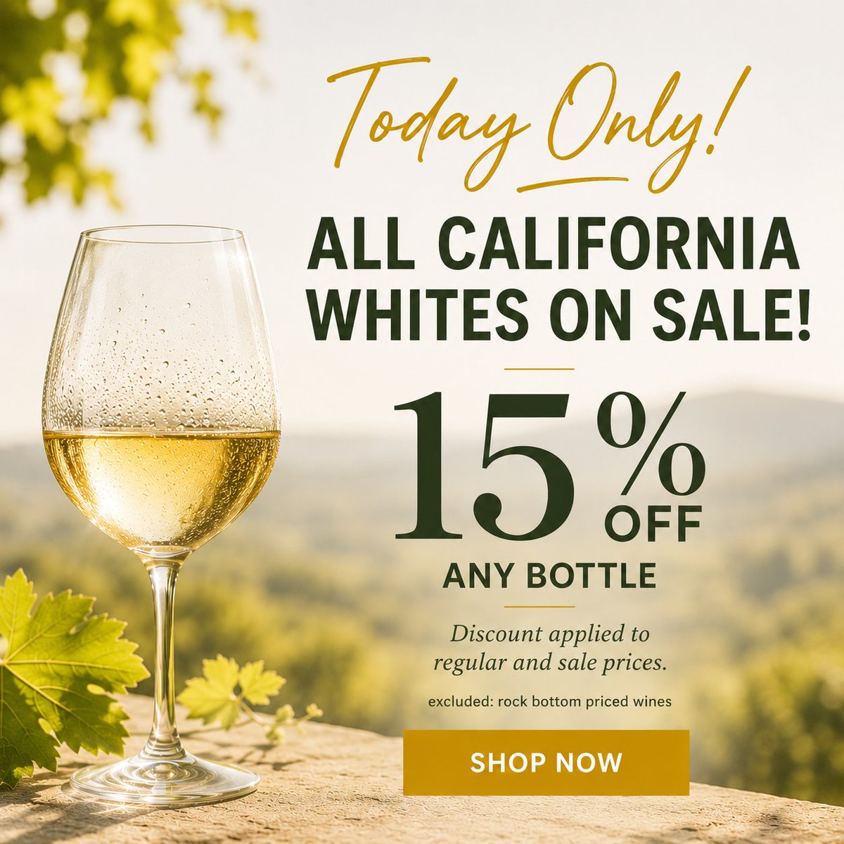 67Wine's tweet photo. Today only! Save 15% on all California white wines, including regular and sale-priced bottles. Shop before midnight! 🥂
https://t.co/ZDlL2efEGS #67Wine #CaliforniaWine #WhiteWine #WineSale #Chardonnay #SauvignonBlanc #TodayOnly https://t.co/eylPeMCf1U