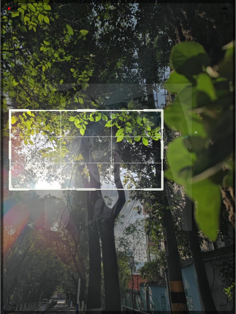knusperflocke79's tweet photo. New to photography Start with the rule of thirds—split your frame into 9 equal parts, place key elements at the lines’ intersections, and watch your shots get way more balanced. https://t.co/NWhGUyAwwc