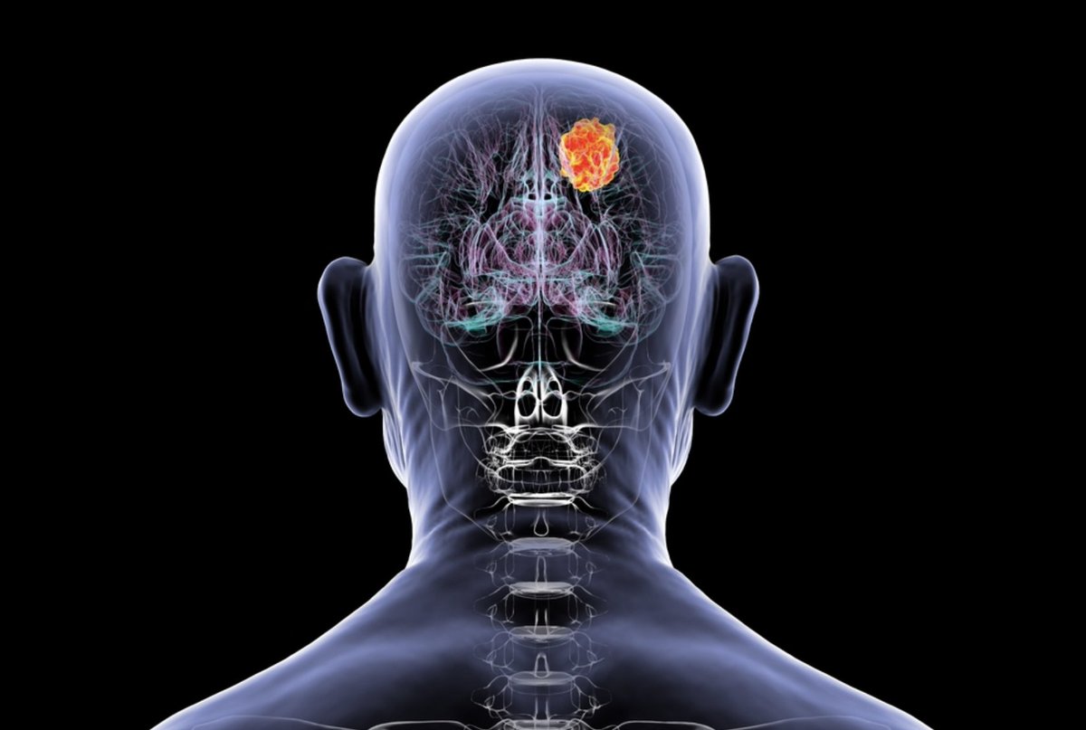 WCM Englander Institute for Precision Medicine tweet media