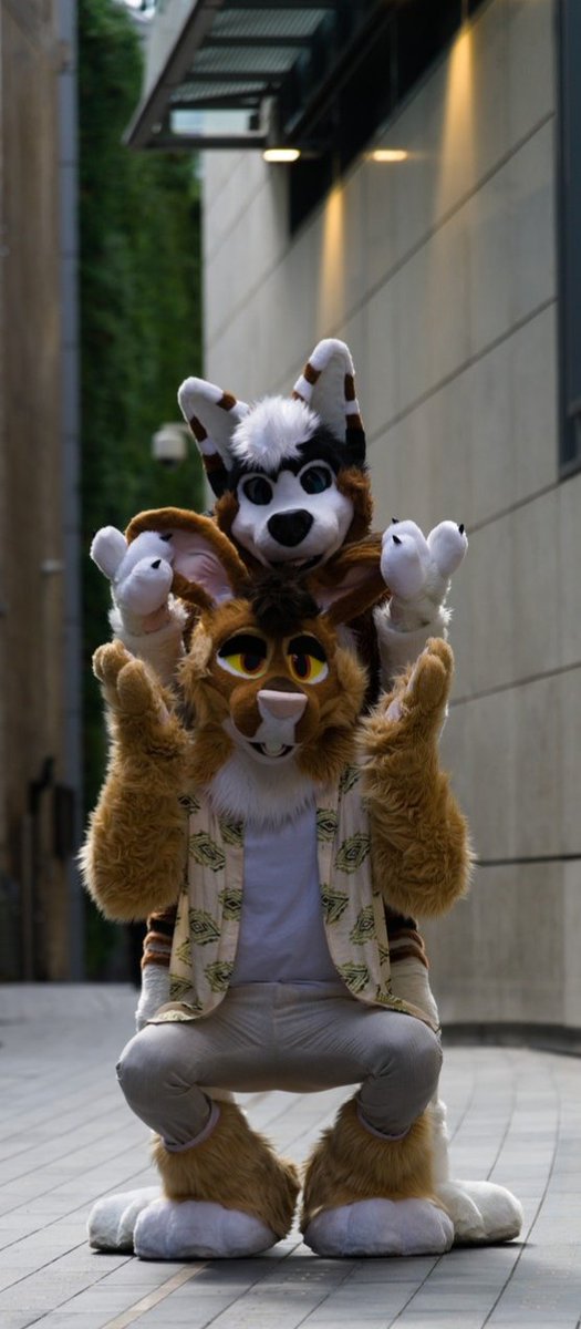 FaolanCanidae's tweet photo. What is it with these Canines and Playing with my Ears ~ 
#FursuitFriday

🐶: @LeoHoosk 
📷: @XiyolFox 
🪡: @RumWolf https://t.co/C91AgzsEM0
