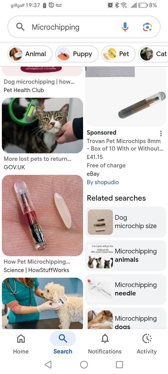 2AforUK's tweet photo. @mimuluslarch @grok That's some poor dogs microchip. https://t.co/Al62bI7g0K