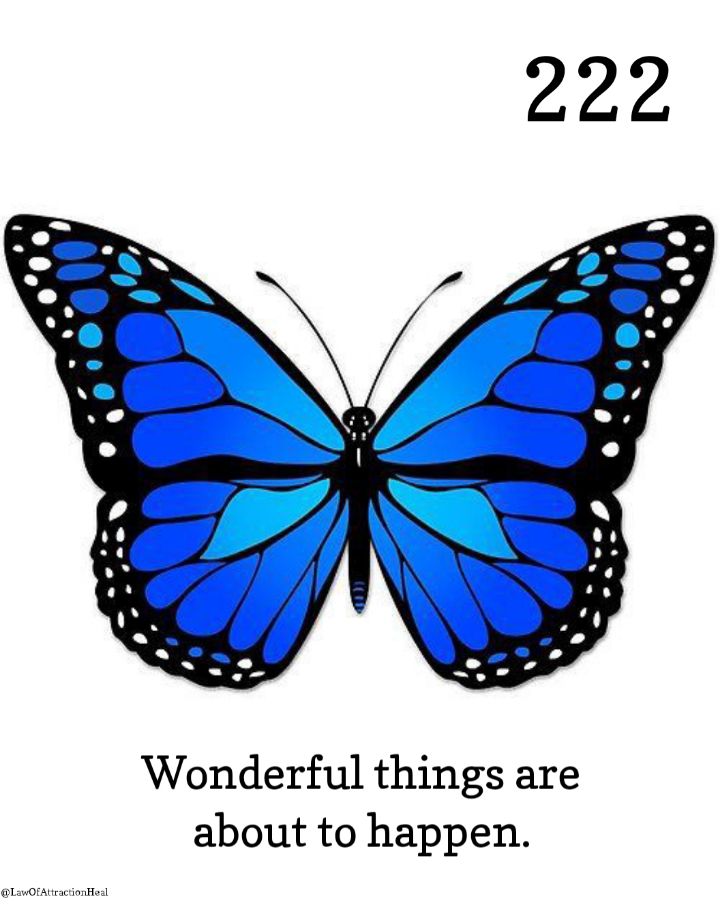Higher_Self1111's tweet photo. 222

Claim it with gratitude🙏💖 https://t.co/hmGZ501OAK