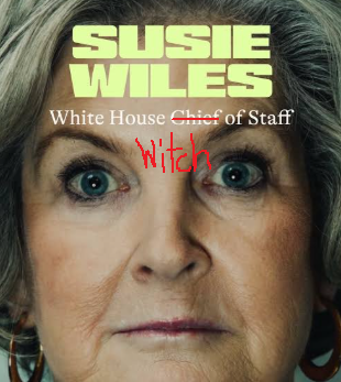 RandomCitizen_7's tweet photo. @RedactedNews I thought Wiles was suffering from witch tit rot and moved a hospital bed into the east wing.  Why is she still haunting us? https://t.co/RJi9WlZEFH