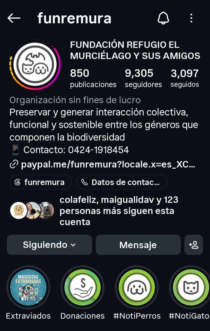 manto1967's tweet photo. 🚨ATENCION🚨 ESTE ES EL REFUGIO FUNREMURA DE SAN ANTONIO DE LOS ALTOS DONDE HAN LLEVADO A MUCHOS ANIMALITOS SOBREVIVIENTES DE LA GUAIRA, A TODOS AQUELLOS QUE AUN BUSCAN A SUS MASCOTAS PUEDEN ESCRIBIR VIA INSTAGRAM O LLAMAR AL NUMERO QUE APARECE EN LA IMAGEN https://t.co/cVBMFqVyKu