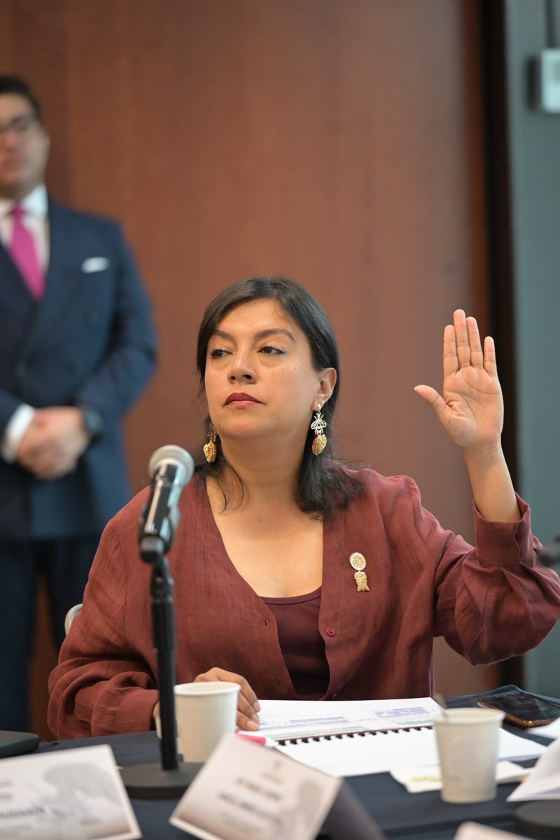 AlmaRosaGto's tweet photo. 🇲🇽 Desde la Tercera Comisión de Asuntos Económicos de la #ComisiónPermanente aprobamos dictámenes para fortalecer la #economía del país.

Destaca el impulso a la inclusión financiera, una medida que ampliará el acceso a servicios financieros para más mexicanas y mexicanos. 👊🏻📈 https://t.co/gU36wE38nZ