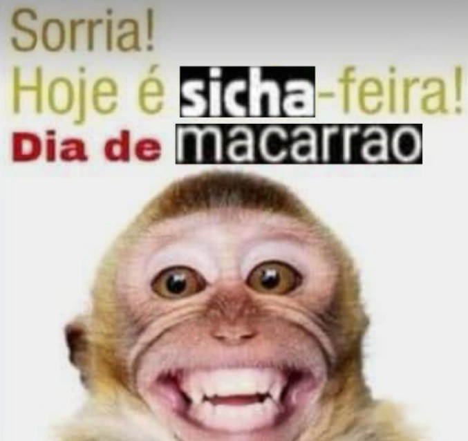MacarraoSicha's tweet photo. https://t.co/Hs0BcWYTGN