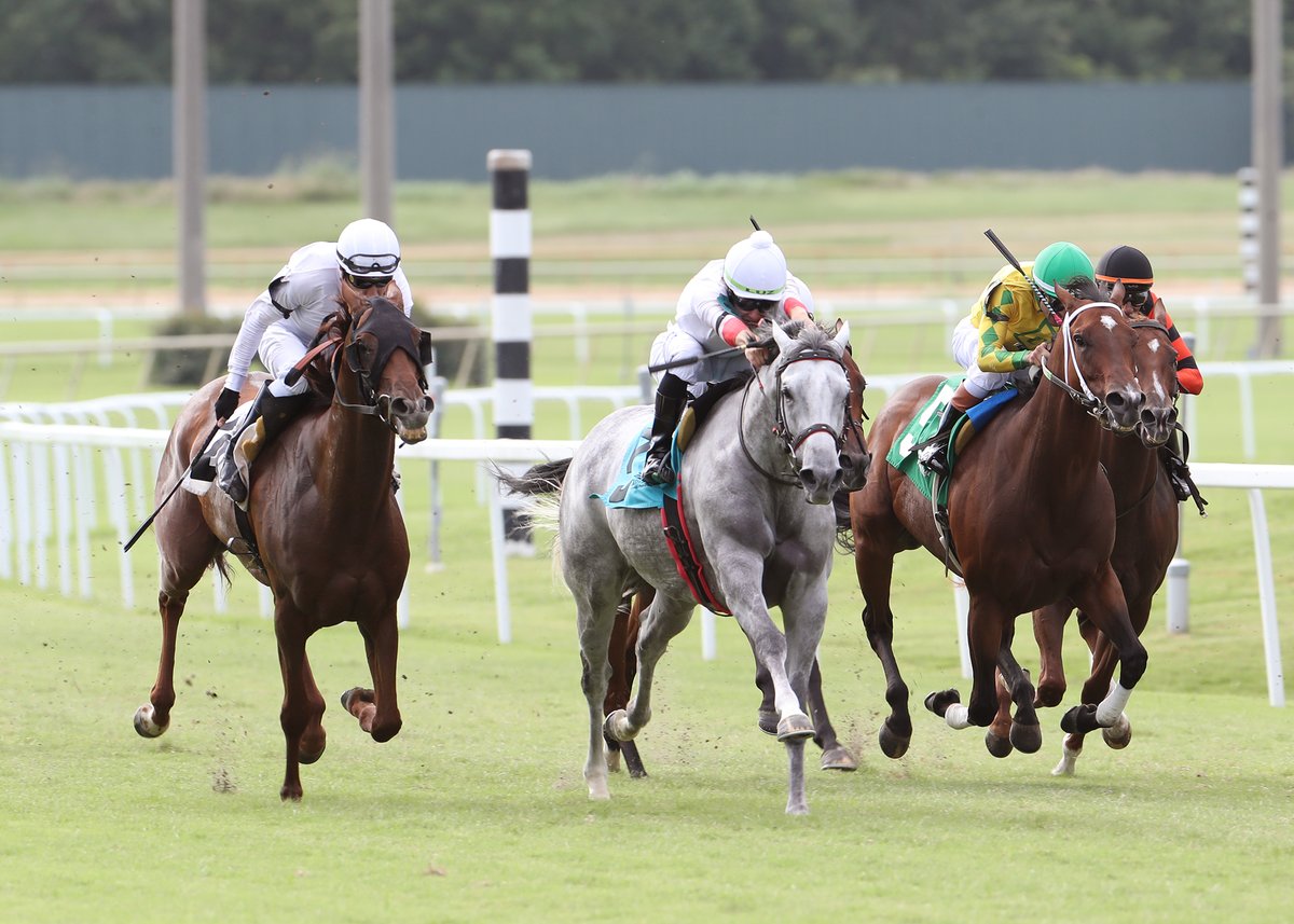 Lone Star Park tweet media