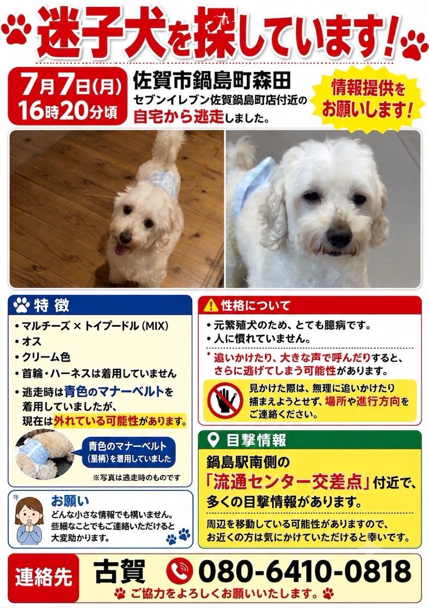 1m7A56cOIT3584's tweet photo. 小池病院辺りまで移動しているかもしれません。

水に入り毛のフサフサ感や色も変わっていると思いますが、、、
いま一度、ジョンらしいワンちゃんいたらご連絡をお願い致します😭

#迷子犬 #佐賀 #拡散希望 https://t.co/wJdwHuALsa
