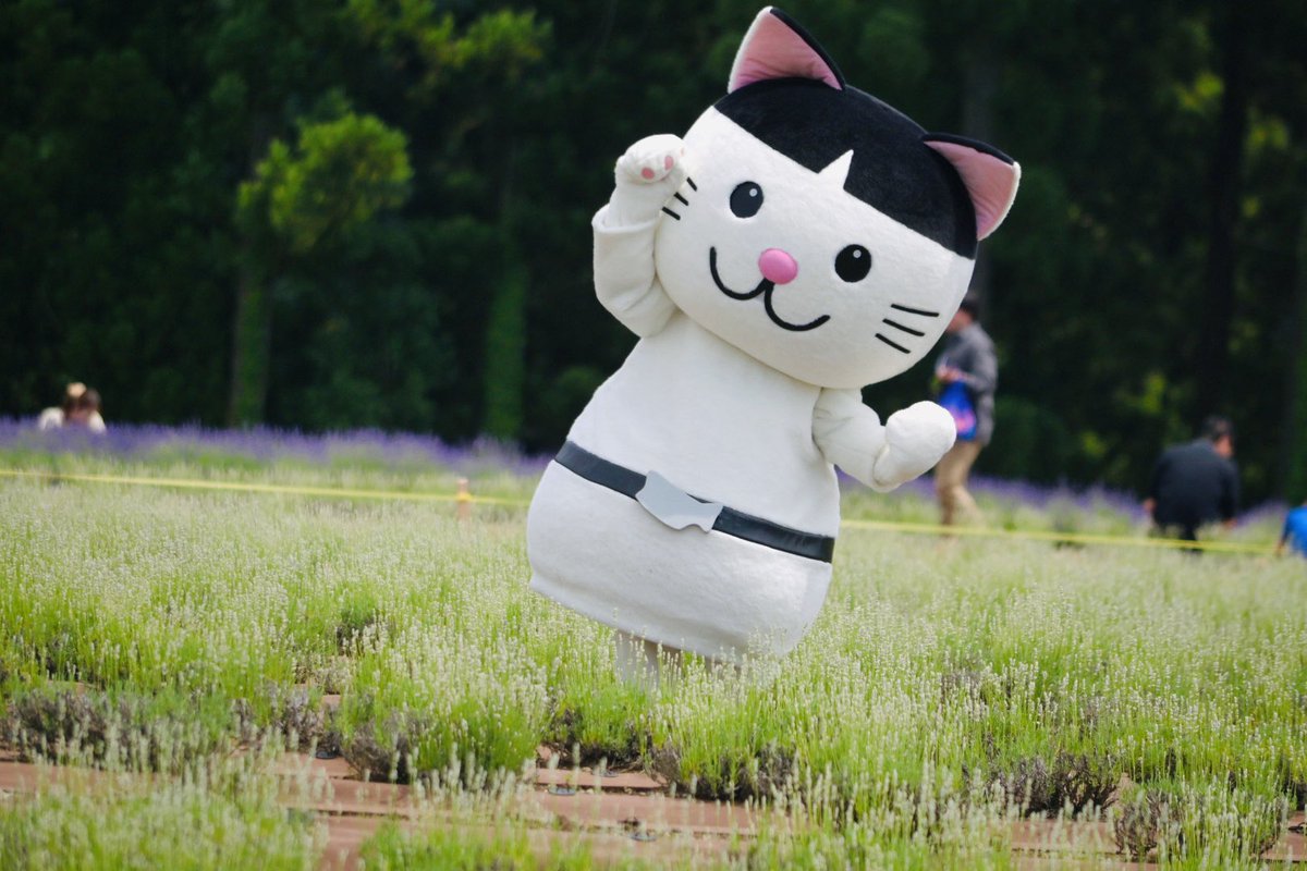 にゃろめさん ∇・)おはにゃーん！雨で少し涼しくなるかにゃー？