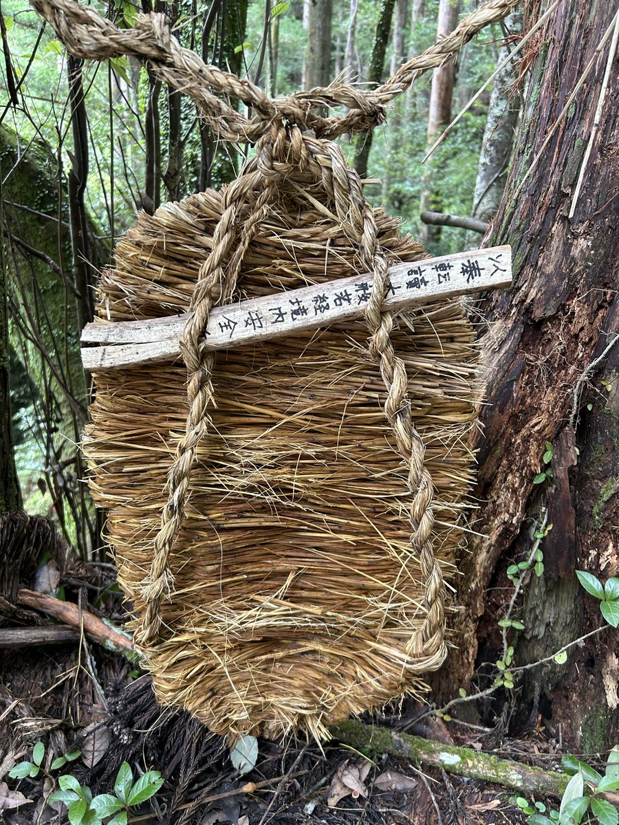 Sasagani_ya's tweet photo. 愛媛県南部の林道で、「道切り」を見つけた。
大わらじを集落の境界などにぶら下げることで、悪霊や疾病の侵入を防ぐらしい。 https://t.co/WHchVg9Fci