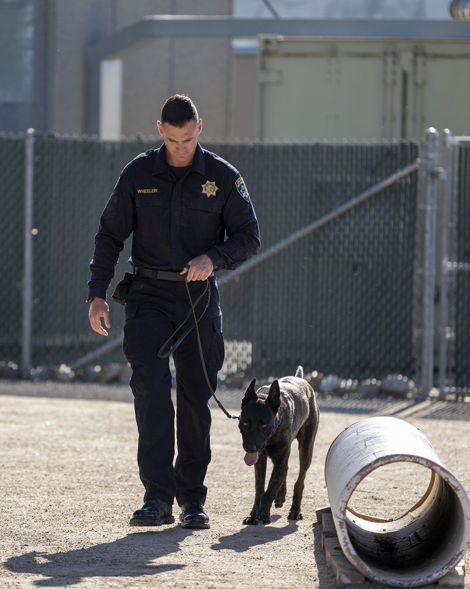 CHP_HQ's tweet photo. Six K-9 teams. Countless hours of training. One mission: serving California. 

Today, we celebrated the graduation of six exceptional K-9 teams, recognizing the dedication, discipline, and partnership between each handler and their four-legged partner.

🔗 https://t.co/E2KdLIwH8K https://t.co/qPjebiUUKe