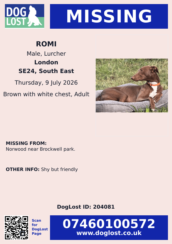 MissingPetsGB's tweet photo. #London #NORWOOD #SE24 Shared post

Please help us find our sweet buddy ROMI. He is a 2.5 year old brown sight hound with white markings. He's wearing hunter's orange collar. We think he's somewhere in area of Brockwell Park, Rosendale Road or Kingswood Road
last seen 9 July 2026 https://t.co/CuC3j9osuD