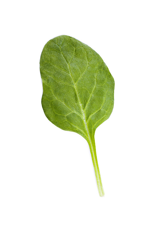 kleenelene2's tweet photo. Just tested the new organic spinach from local farms! Crisp, earthy, and packed with vibrant green flavor—perfect for morning smoothies or salads. A solid 10/10 for freshness!， https://t.co/ov6VwOR3sQ