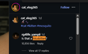 d tweet media