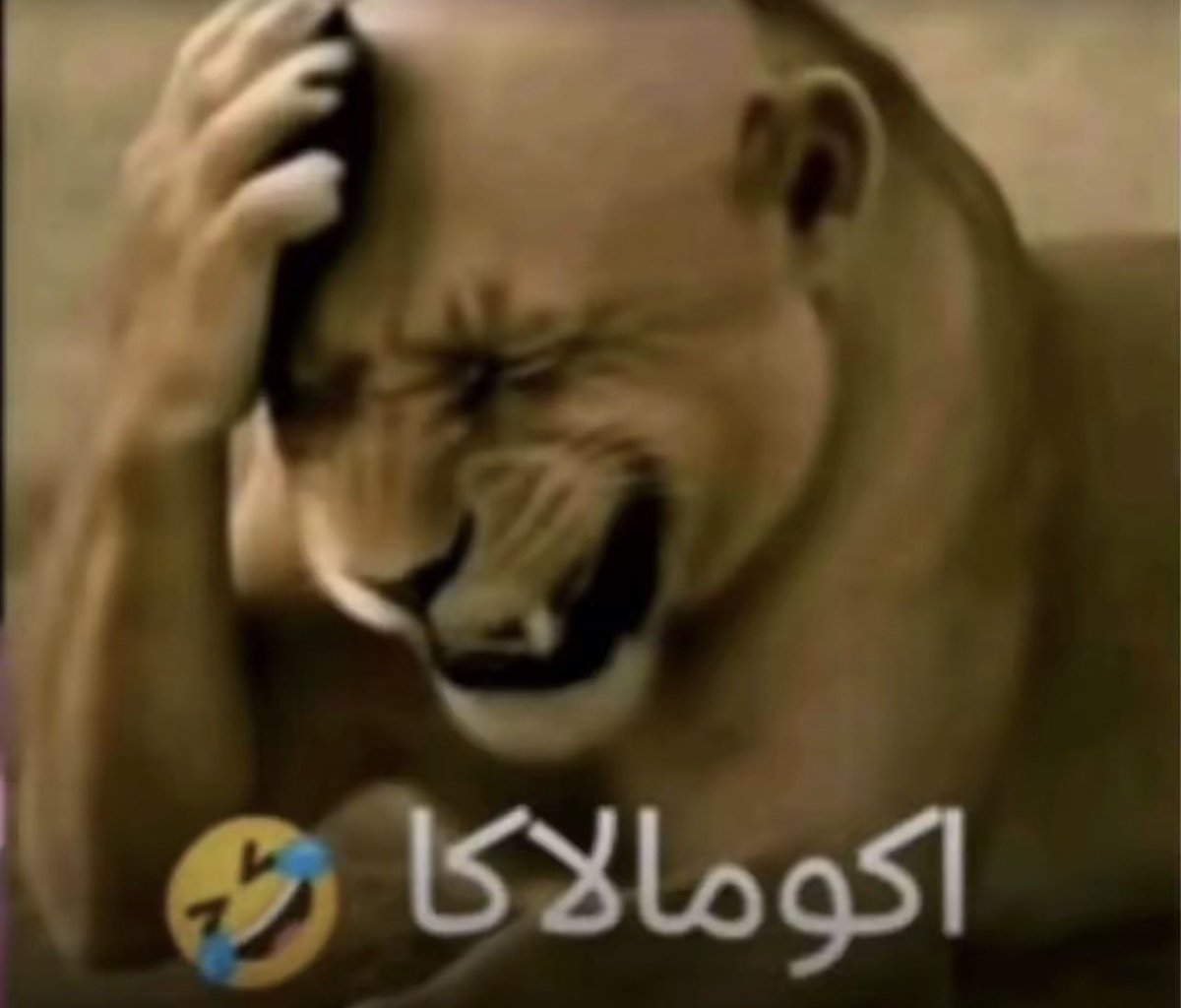 Ddiwxb's tweet photo. @_MHNI نقعي الخيزرانه بالمويه 😹😹😹😹🧤🧤😹 https://t.co/6zWxtMekdV