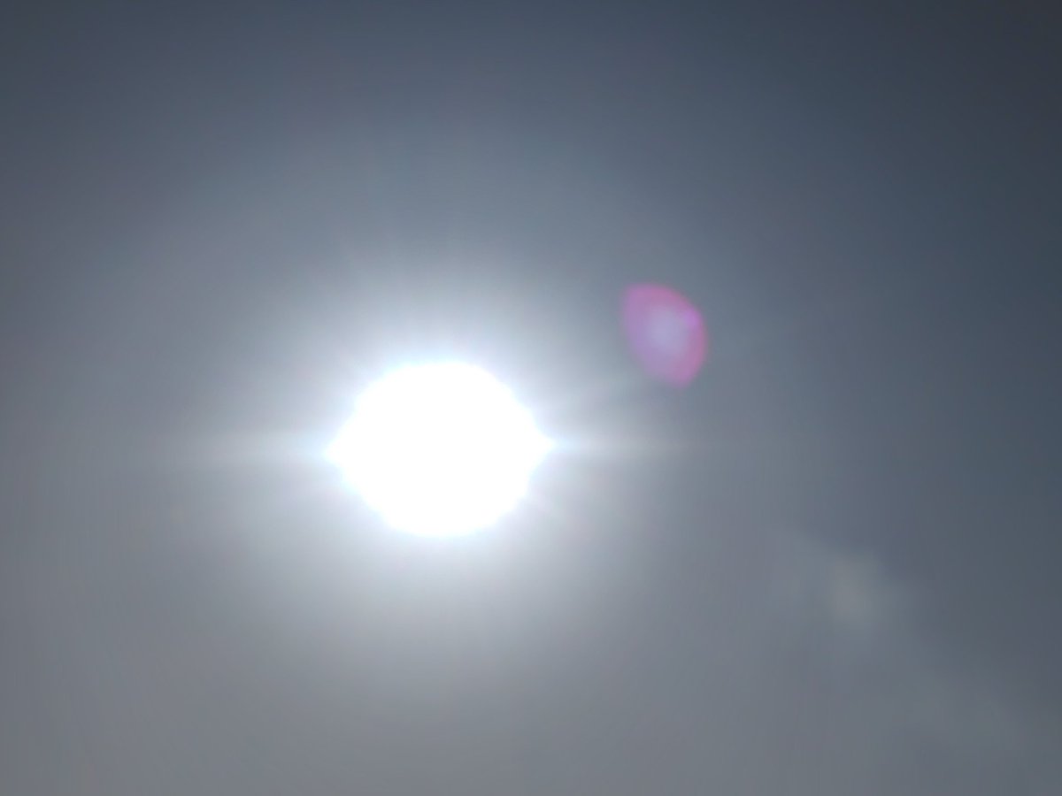beetotoroegg's tweet photo. オハヨーございます😊☀

朝５時にスマホの熱中症アラート
もう、涼しい時間帯がないのかな https://t.co/lnA6t1OslR