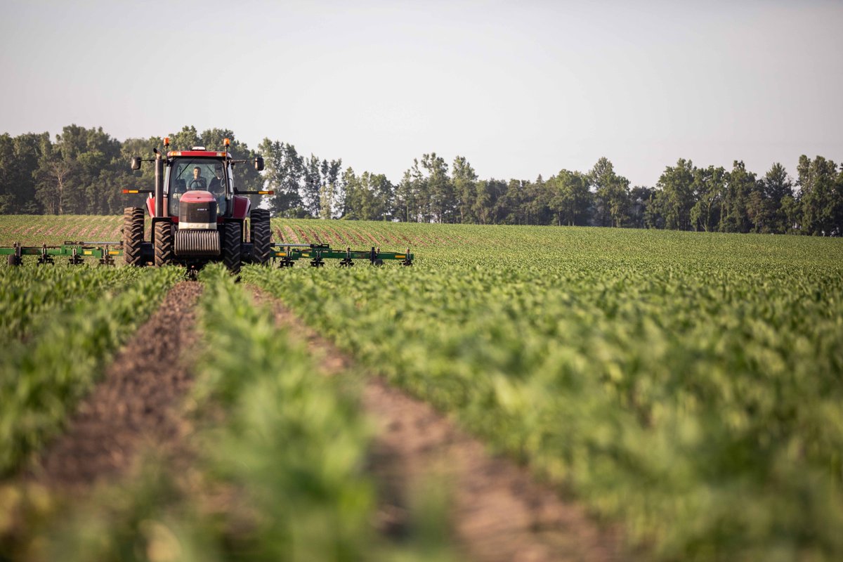 farmcreditmid's tweet photo. Seven generations strong, Jay and Wade balance tradition with innovation. In northwest Ohio, the brothers cultivate a diverse 3,000+ acre operation. By embracing automation, they’re securing their legacy for the next generation.

#OhioAgriculture #CenturyFarm https://t.co/Kw9ytJ5DF1