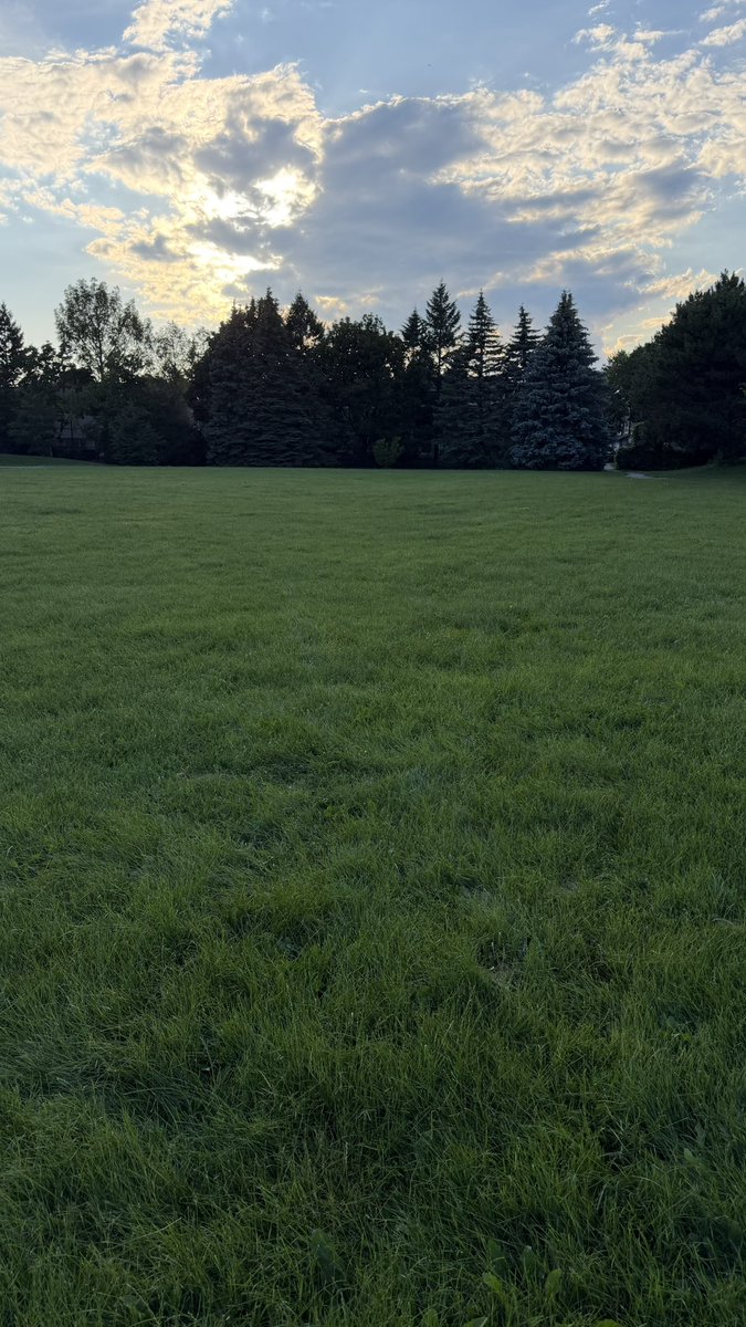 fnetisma's tweet photo. Touching grass https://t.co/cvOc5TLxMp