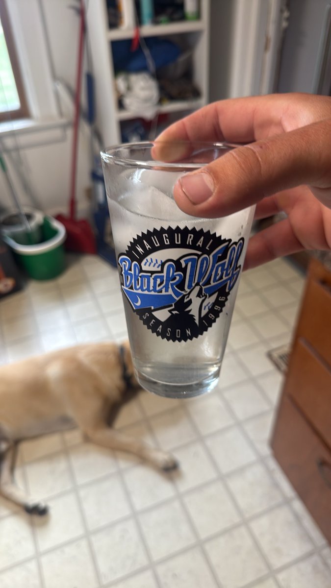 Da_polka_king's tweet photo. Do I Have any Madison Black Wolf fans in the chat? https://t.co/cBHvYLcryC