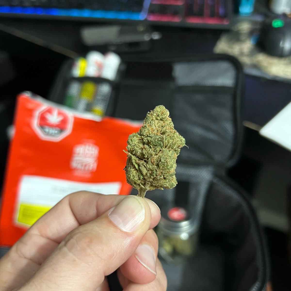StonerDad 🇨🇦 tweet media