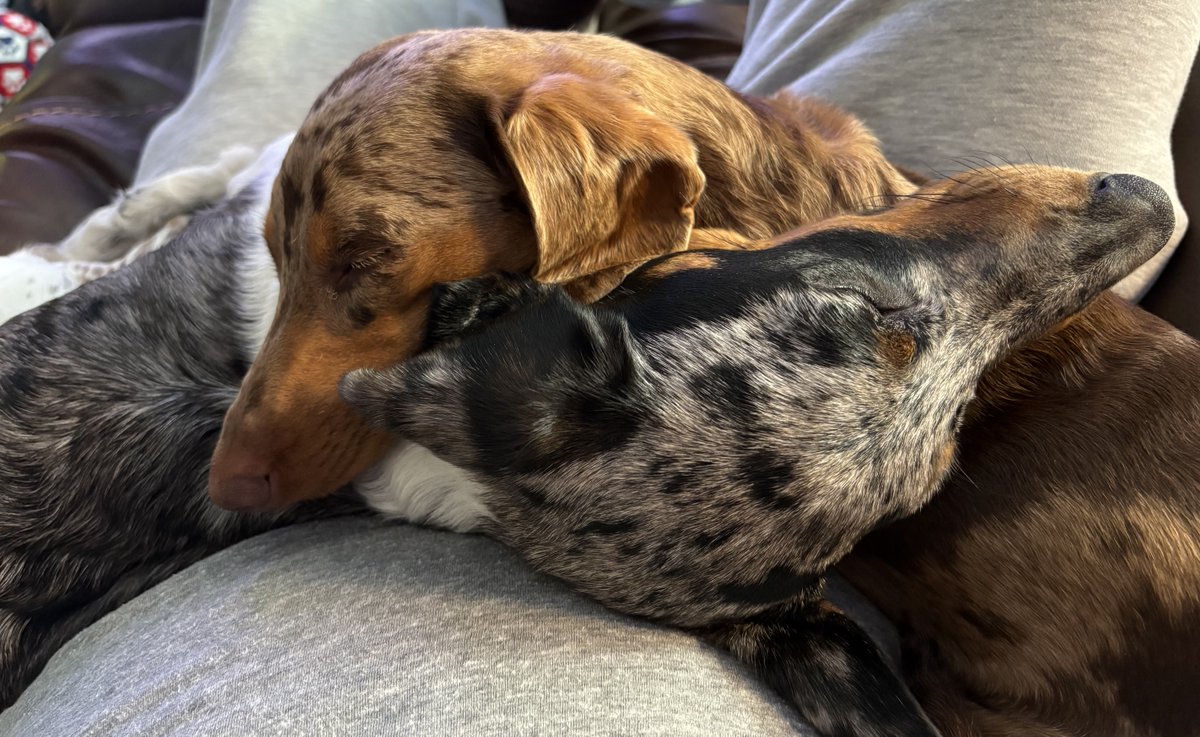 Via6Via's tweet photo. They love each other. https://t.co/8ZSPBRrJ2Y