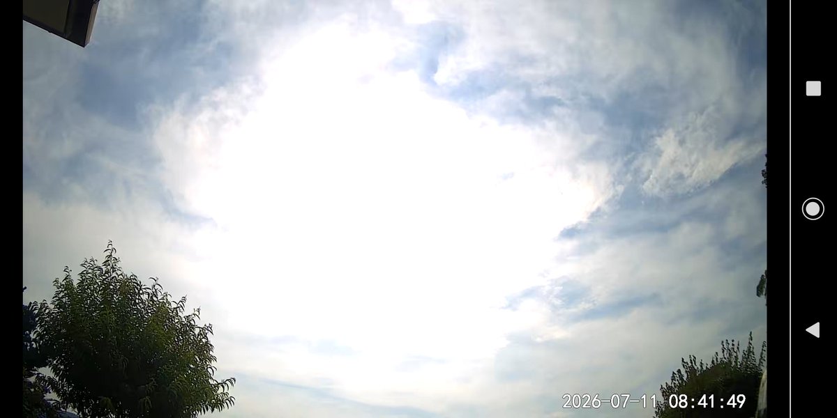 禅丸 tweet media