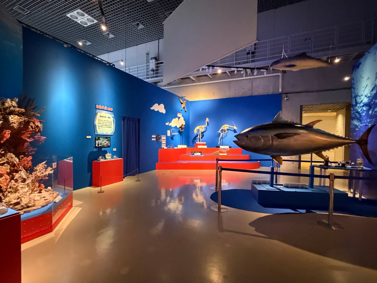museum_kahaku's tweet photo. ||◤　　　　　　　 ◥||
   🐋 本 日 開 幕 🦥
||◣　　　　　　　 ◢||

特別展「いきもの超ワールド展　国立科学博物館×ダーウィンが来た！」

　◆会期：2026年7月11日(土)～
　　　　　　　10月12日(月・祝)
　◆場所：#国立科学博物館

ぜひご来館ください！
 https://t.co/RnQM4McHxF https://t.co/ASGGOSeX3Y