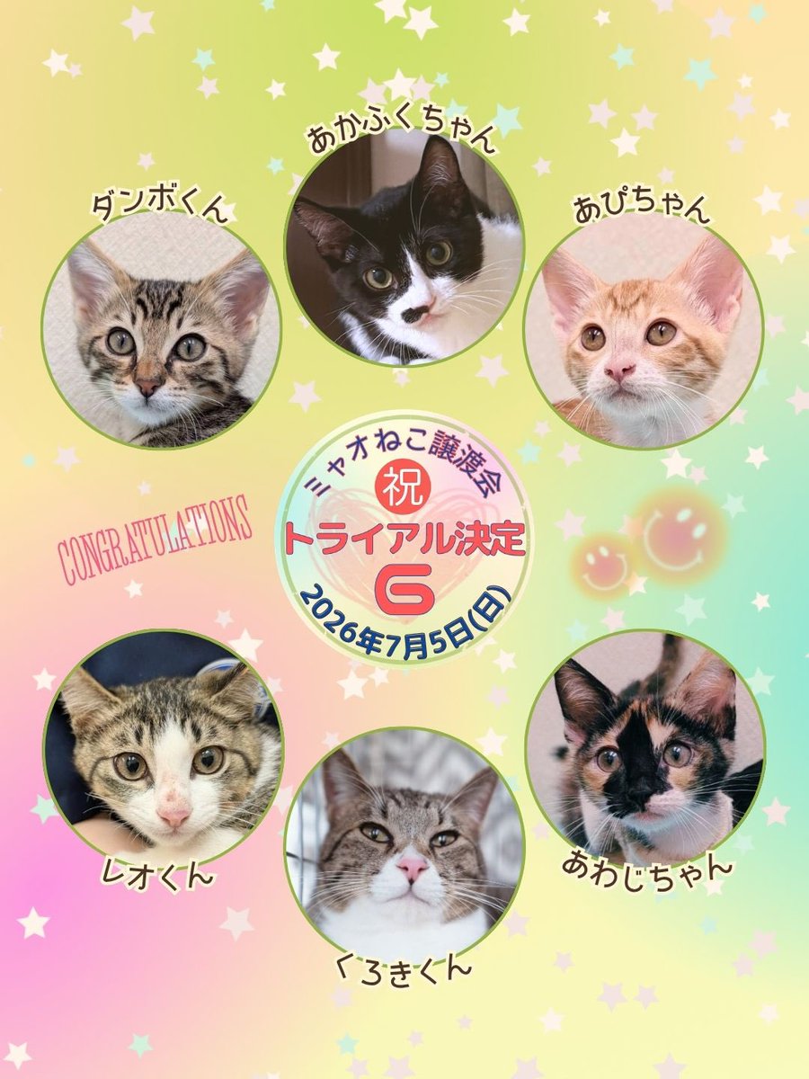 myaoneko55's tweet photo. 7/5(日) #ミャオねこ譲渡会 報告♡

【トライアル決定 6ﾆｬﾝ】

15組のご家族さまがご来場(*ˊᗜˋ*)
ありがとうございます♪

次回開催日は 7/26(日)ですのﾆｬฅ^•ω•^ฅ
https://t.co/9jLJHPmkov

#保護猫譲渡会　#里親募集中
#ミャオねこ https://t.co/inh5PrUeiU