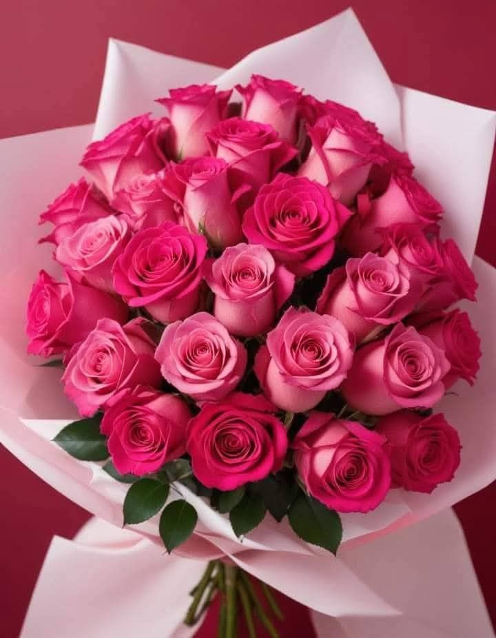 Flowers7005's tweet photo. https://t.co/vFuSihfqYI