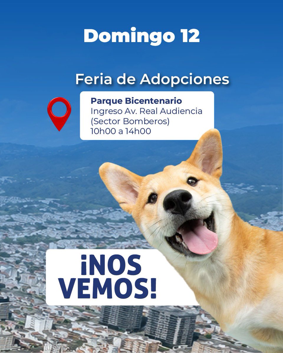 UBAQuito's tweet photo. 📍🐾 ¡Acompáñanos este fin de semana en nuestras ferias en distintos puntos de la ciudad!

¿Quieres saber dónde estaremos? 

📲 Consulta las fechas y ubicaciones de nuestras ferias de adopción, jornadas de esterilización y campañas de sensibilización en #MiQuitoApp.
#QuitoRenace https://t.co/GissAEjLxZ
