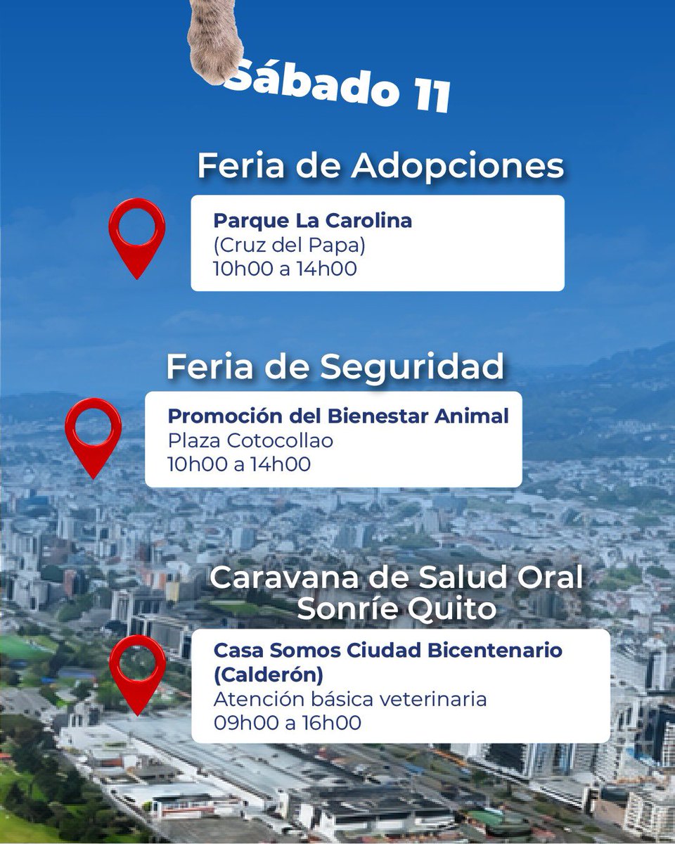 UBAQuito's tweet photo. 📍🐾 ¡Acompáñanos este fin de semana en nuestras ferias en distintos puntos de la ciudad!

¿Quieres saber dónde estaremos? 

📲 Consulta las fechas y ubicaciones de nuestras ferias de adopción, jornadas de esterilización y campañas de sensibilización en #MiQuitoApp.
#QuitoRenace https://t.co/GissAEjLxZ