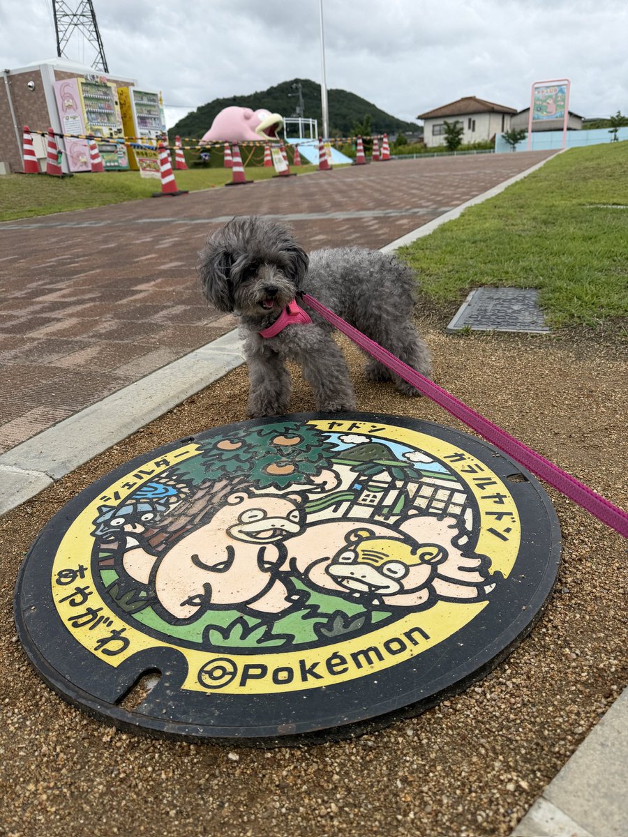 pocketmobilejp's tweet photo. 愛犬3号「ヤドン公園にたくさんヤドンがいて、お腹を空かせてたわん！」

#pokemongo
#ポケモンGO 
#香川県
#やどん県
#ポケふた https://t.co/yhOZSnt7Ys