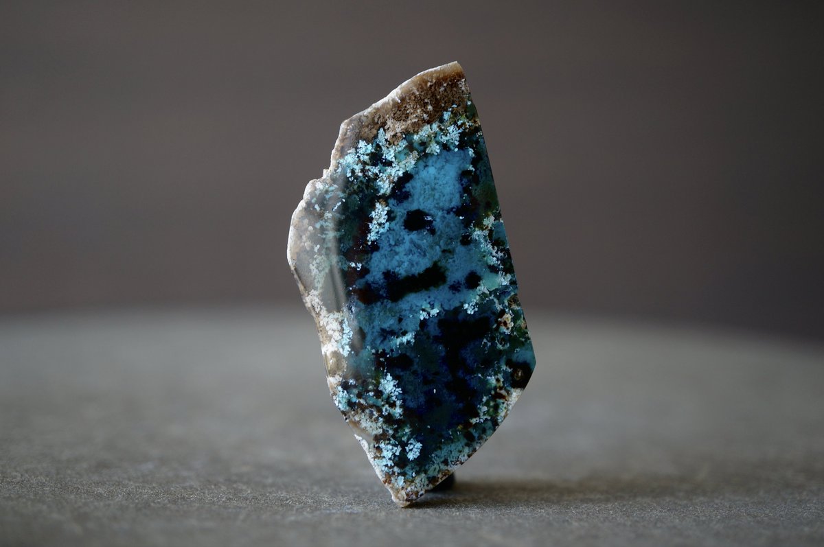 本日21:00出品 ジャワ島産ブルーペトリファイドウッド Blue Opalized