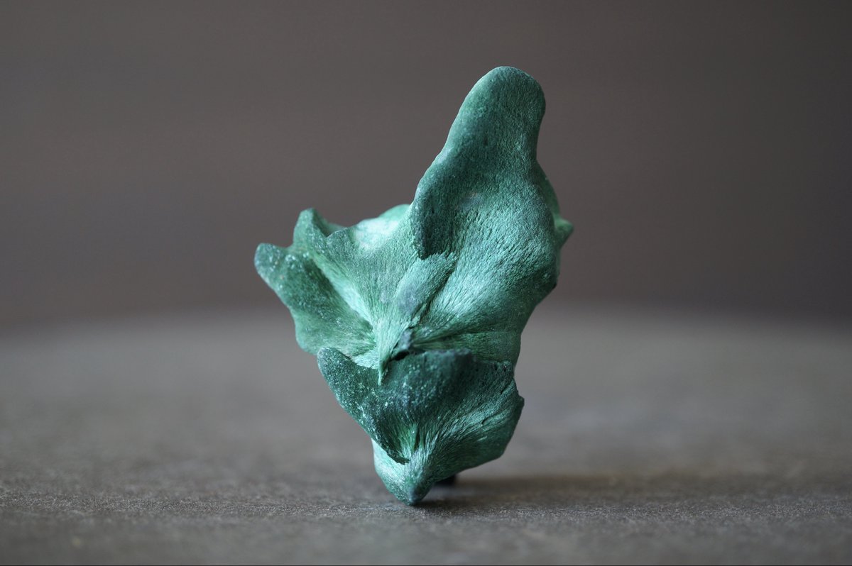 本日21:00出品 ジャワ島産ブルーペトリファイドウッド Blue Opalized