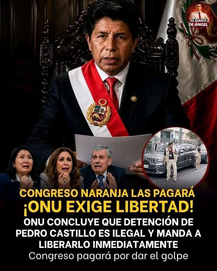 susana_bozzo's tweet photo. Que se creen los de la ONU que Perú es subdito de ellos, nido de ratas progres zaganos somos un país independiente y libre. Vayanse a la Michi. https://t.co/bT5B2MCUeu
