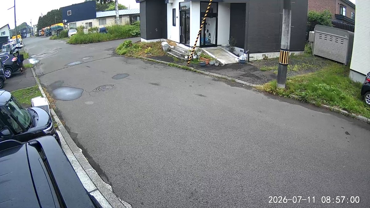 master_Gpanda's tweet photo. 超…雨…

あっという間に道路が真っ黒に☔️(1分後) https://t.co/ao51z77m8C