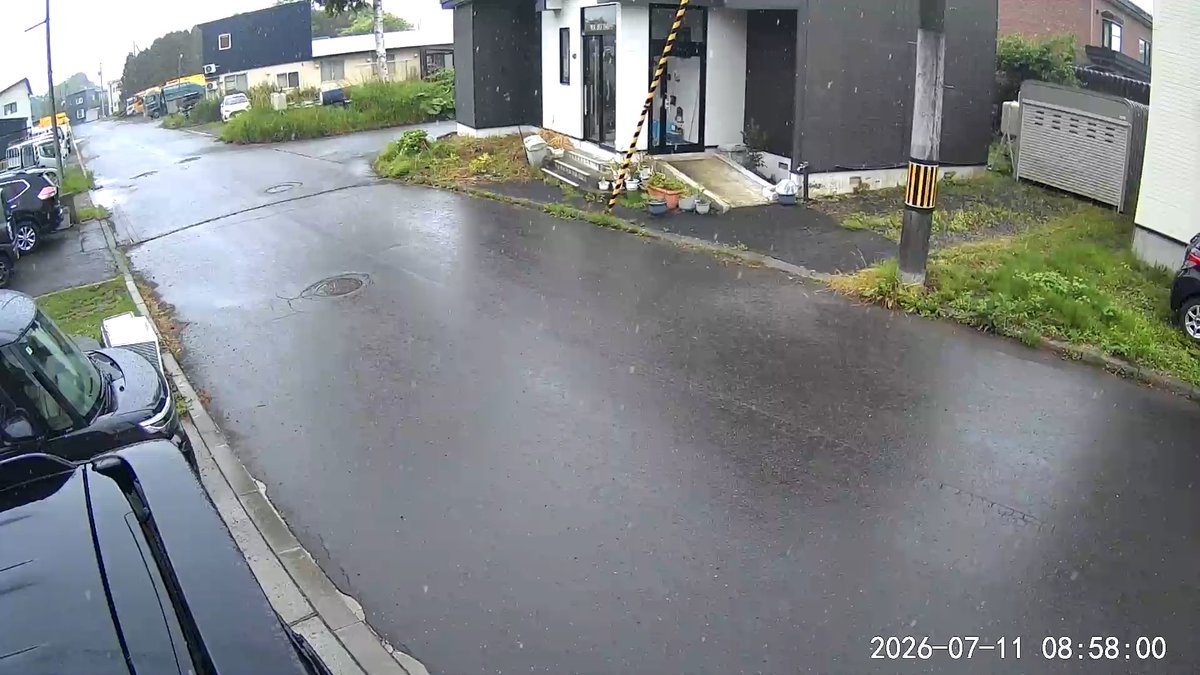master_Gpanda's tweet photo. 超…雨…

あっという間に道路が真っ黒に☔️(1分後) https://t.co/ao51z77m8C