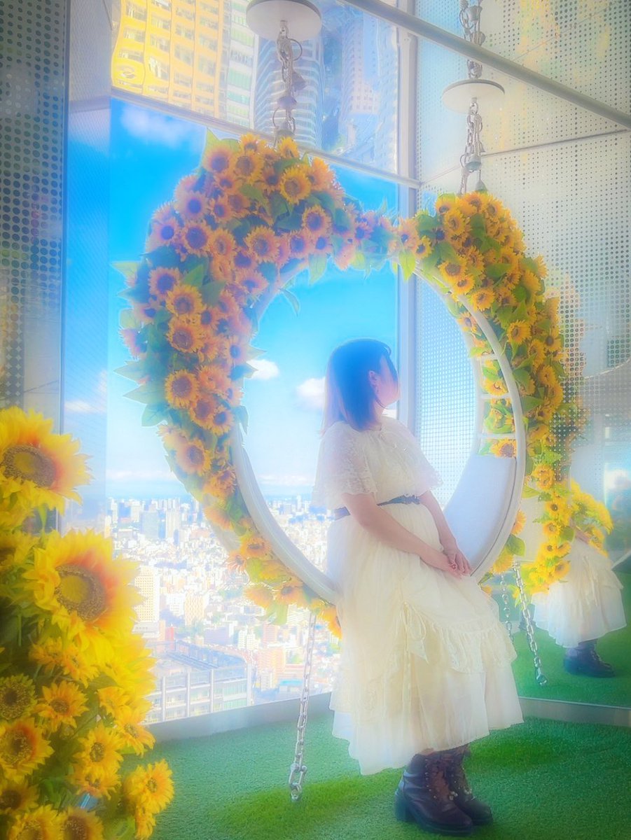 N_ew__yip's tweet photo. 🌻🌻🌻 https://t.co/Ttp0B6MqCG