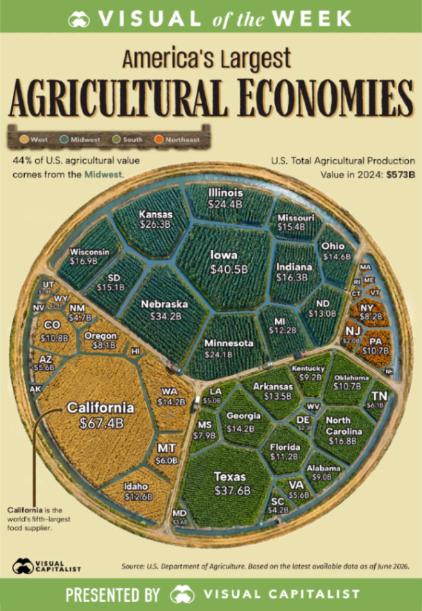 Visual Capitalist tweet media