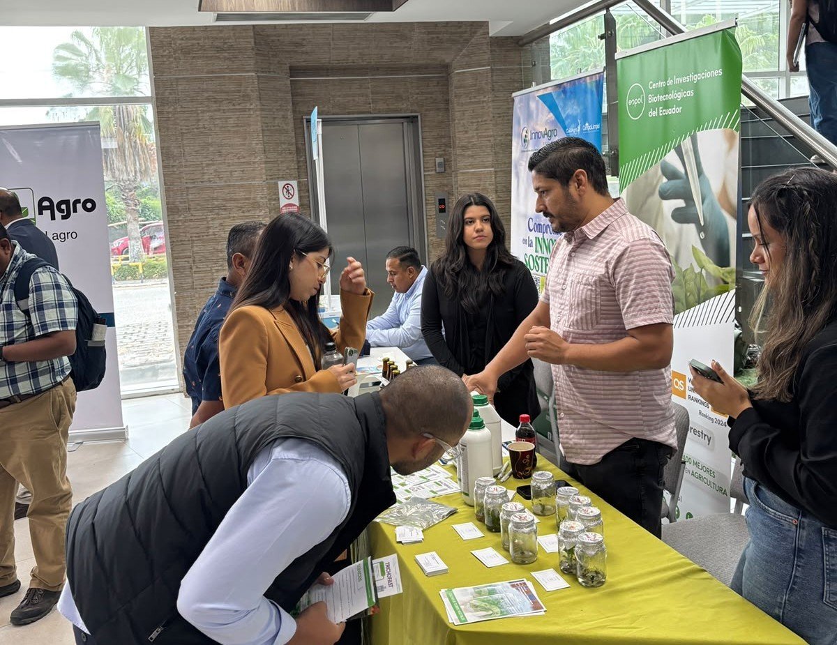 cibe_espol's tweet photo. 🌱 El CIBE participó en el Foro "Agricultura en tiempos de El Niño" con un stand institucional, donde presentamos nuestros servicios especializados a productores, empresas y profesionales del sector bananero y cacaotero🤝🔬

Este espacio permitió difundir las capacidades y servicios del CIBE, así como fortalecer el relacionamiento con actores del sector agroproductivo. 🌿