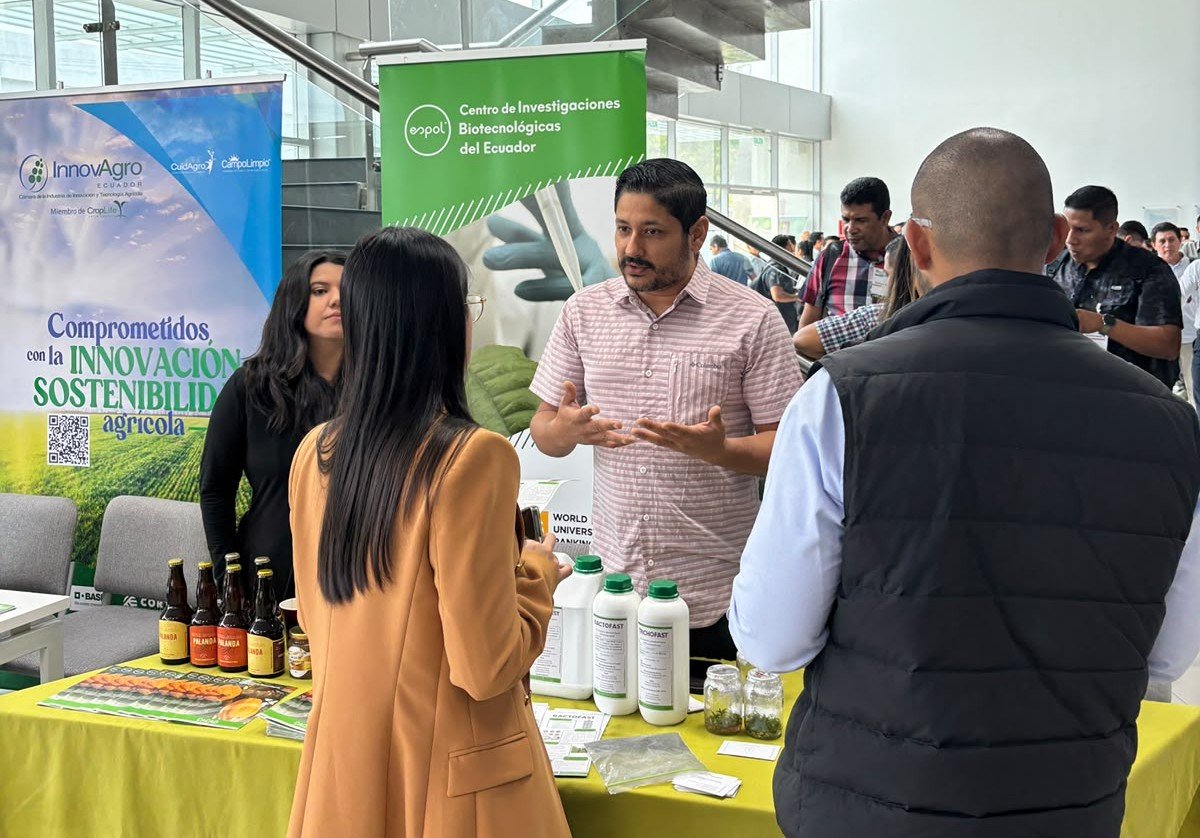cibe_espol's tweet photo. 🌱 El CIBE participó en el Foro "Agricultura en tiempos de El Niño" con un stand institucional, donde presentamos nuestros servicios especializados a productores, empresas y profesionales del sector bananero y cacaotero🤝🔬

Este espacio permitió difundir las capacidades y servicios del CIBE, así como fortalecer el relacionamiento con actores del sector agroproductivo. 🌿