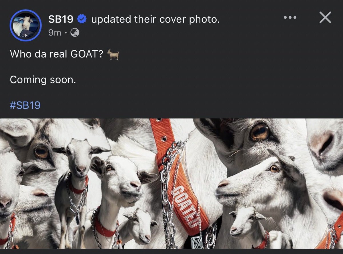 iamxycee's tweet photo. A’tin : Esbi pengeng isang lambing

@SB19Official : kambing binigay😩😩🤪🤪

  alin kaya dito si @justintdedios ?🤭✌🏼
#SB19 #Goated https://t.co/AinKZYKLpb
