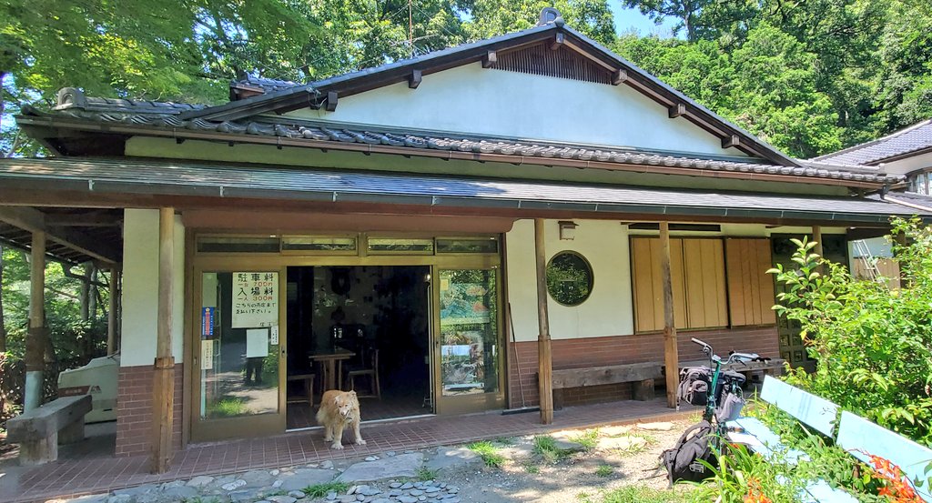 FenFenSenpai's tweet photo. 帰宅！電波0から脱出！
よき渓流キャンプ場でした🤩
しかし石ころだらけのサイトに限ってマット忘れてしもうた。。。でも意外と寝れるもんだねぇ
あと福善さんの打刀が本領発揮して輝いてた😊 https://t.co/u6rq6Qf9ws
