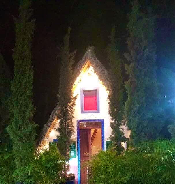 AleDuranH's tweet photo. 🏕️🌲🌲 https://t.co/6SUHnkjEc0