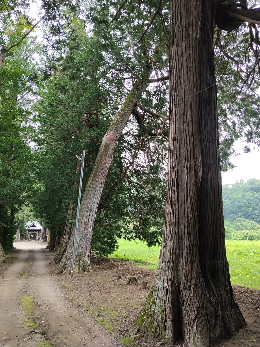 660Tb's tweet photo. うん、隣県まで来てしまったけど良い神社でした👍✨ https://t.co/qP9sKehwIr