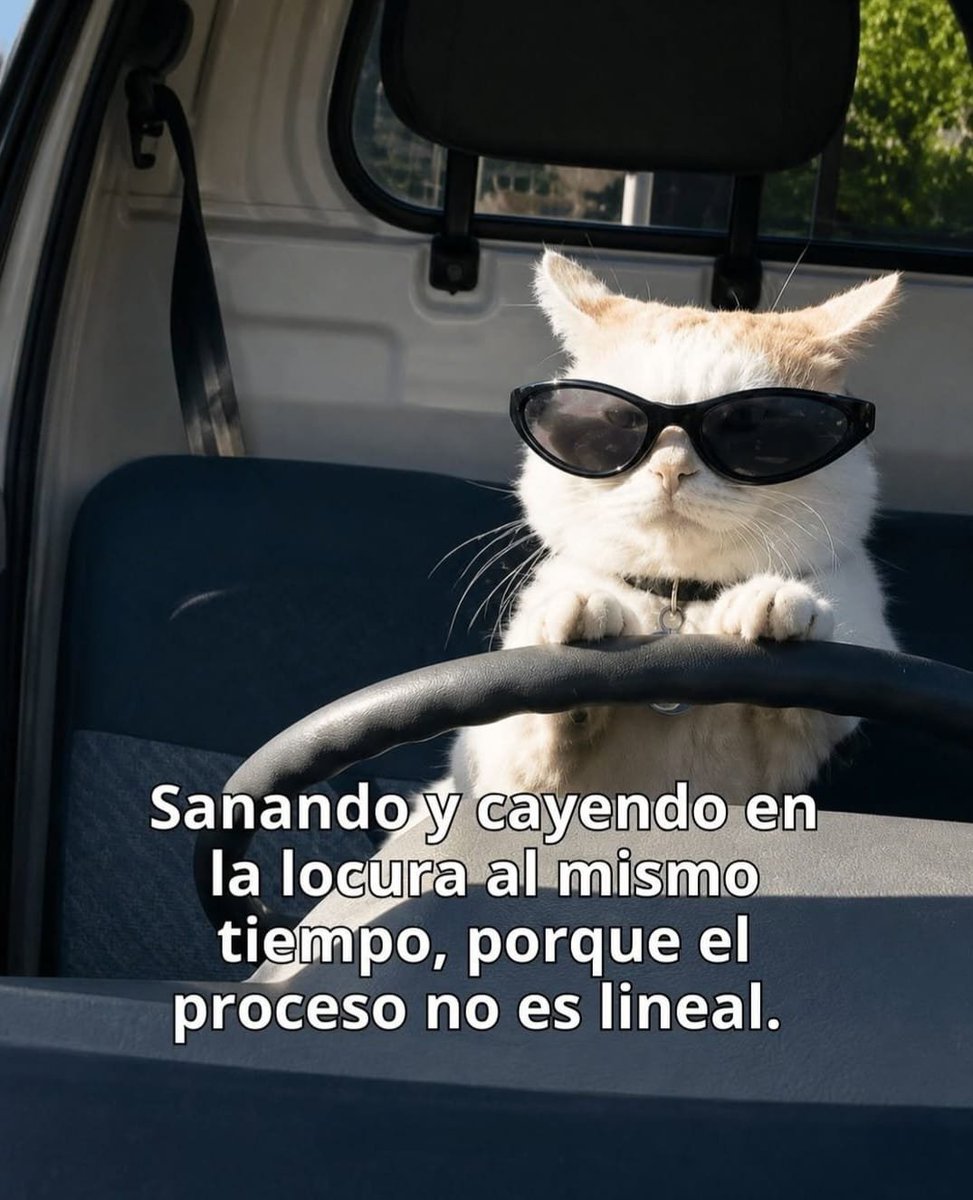 ClinicaRelox's tweet photo. 😧😪🫠

#ViernesDeHumor para la #SaludMental #ViernesDeMeme https://t.co/sJjzGNOR83