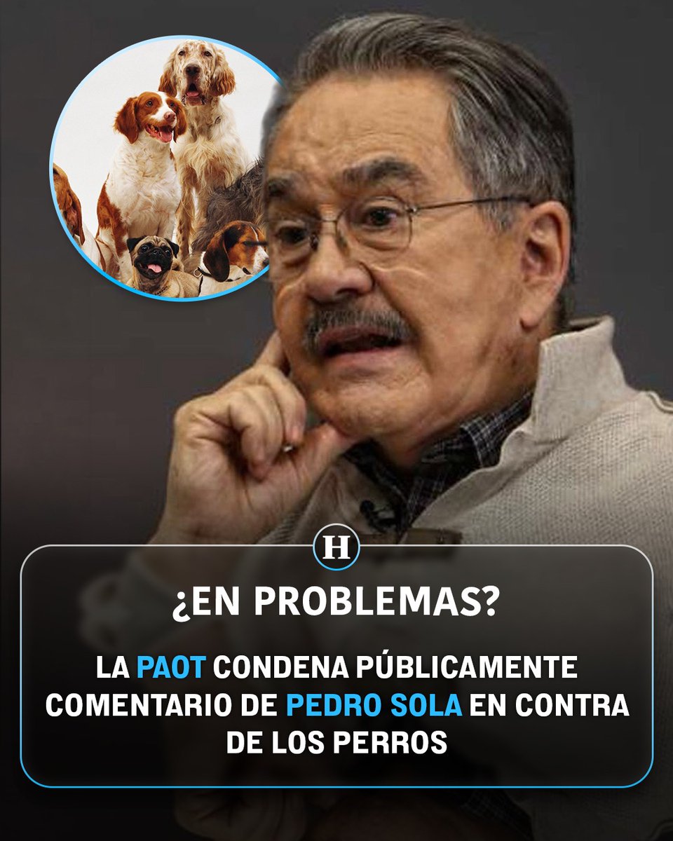 heraldodemexico's tweet photo. 😱😱¡La polémica en contra de Pedro Sola sigue! Ahora, la Procuraduría Ambiental y del Ordenamiento Territorial (PAOT) de la Ciudad de México emitió un comunicado en el que expresó su rechazo a las recientes declaraciones realizadas por el conductor.

La institución recordó que las figuras públicas y los líderes de opinión tienen una responsabilidad frente a la audiencia e hizo un llamado a ejercer la libertad de expresión con responsabilidad social, especialmente cuando se trata del bienestar de los animales.

Además, la PAOT destacó que los animales son reconocidos legalmente como seres sintientes y reiteró que seguirá promoviendo acciones para protegerlos y fomentar una convivencia respetuosa. 🐾