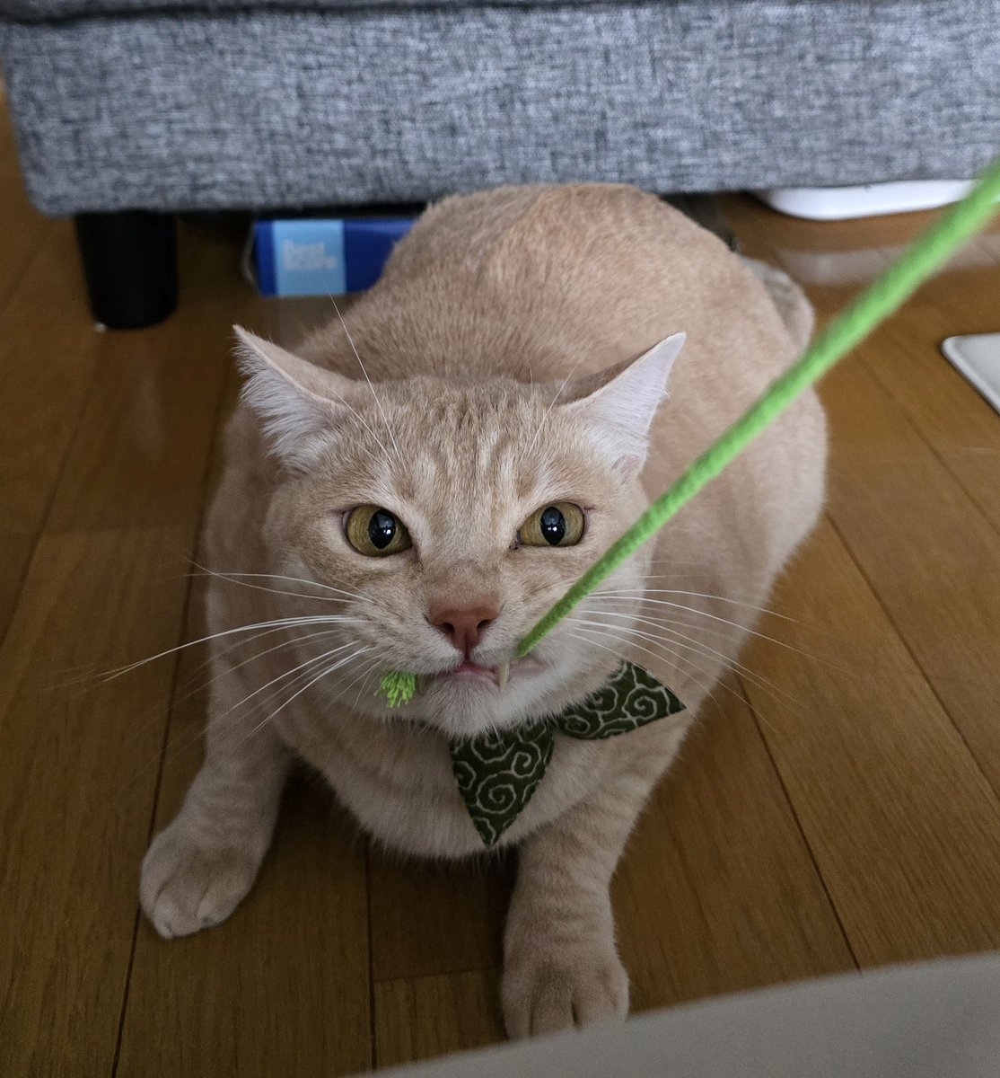 週末の遊び時間が最高の癒し😁